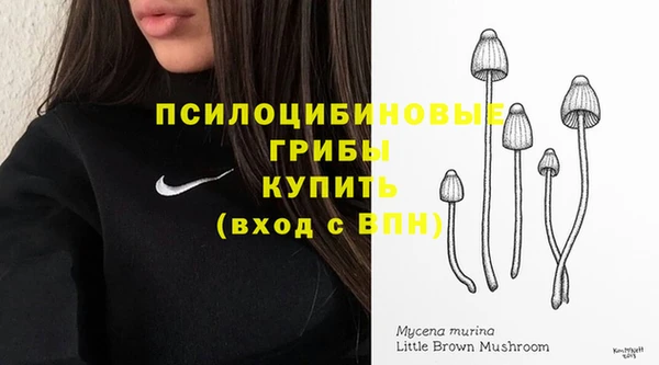 мяу мяу мука Надым
