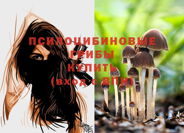 a pvp Навашино