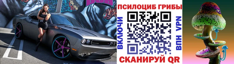 купить наркотик  MEGA ONION  Псилоцибиновые грибы GOLDEN TEACHER  Тайшет 