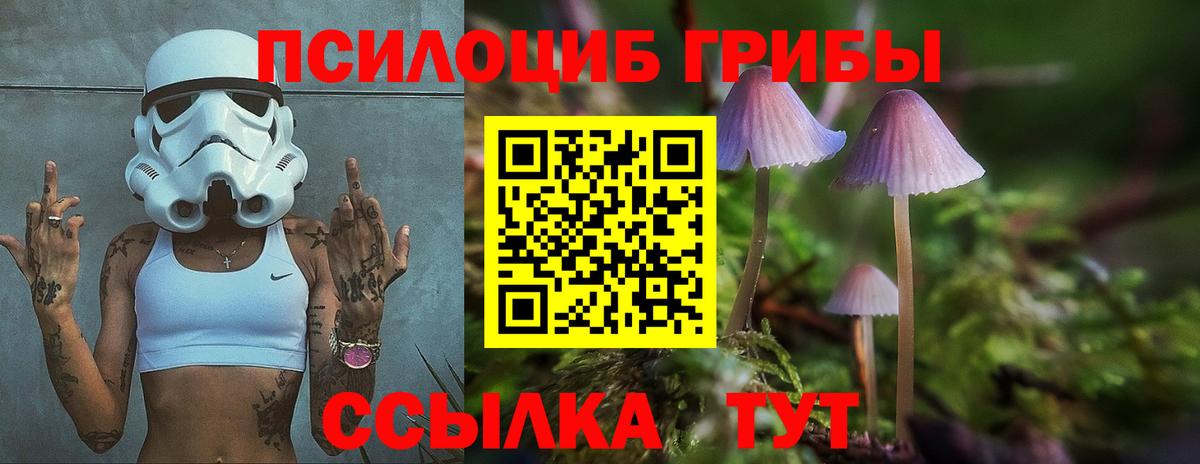 наркотики  Псилоцибиновые грибы Psilocybe  Вход с VPN  Тайшет  Галлюциногенные грибы Psilocybine cubensis 
